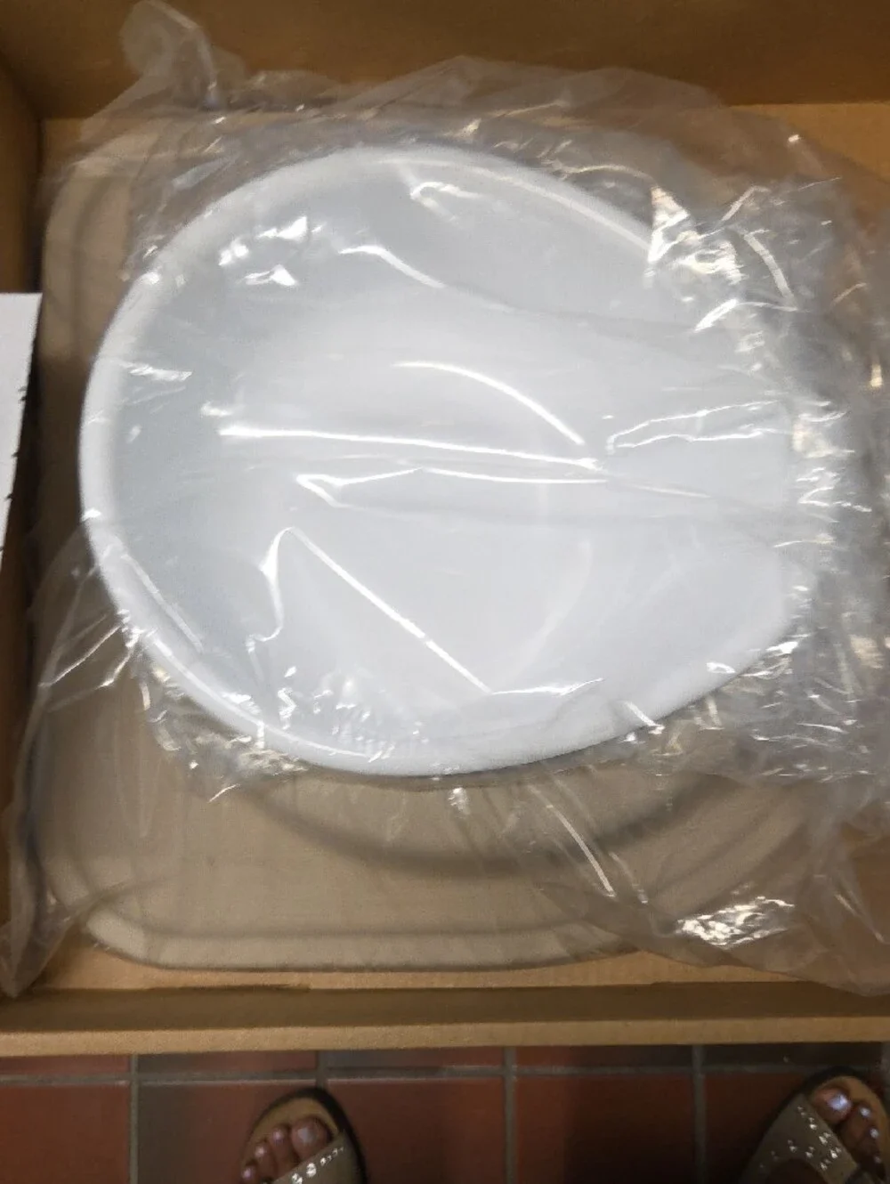 PetComfort Beige Non-Slip Elevated Dog Bowl with White Insert